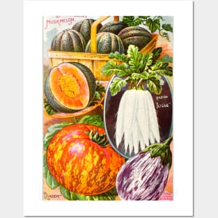 Veggie Seed Catalogue, circa 1900s Posters and Art